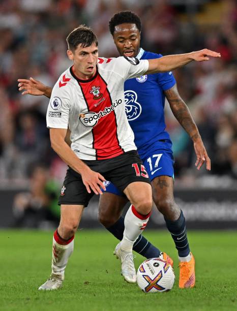 受伤后的梅 受伤后的梅