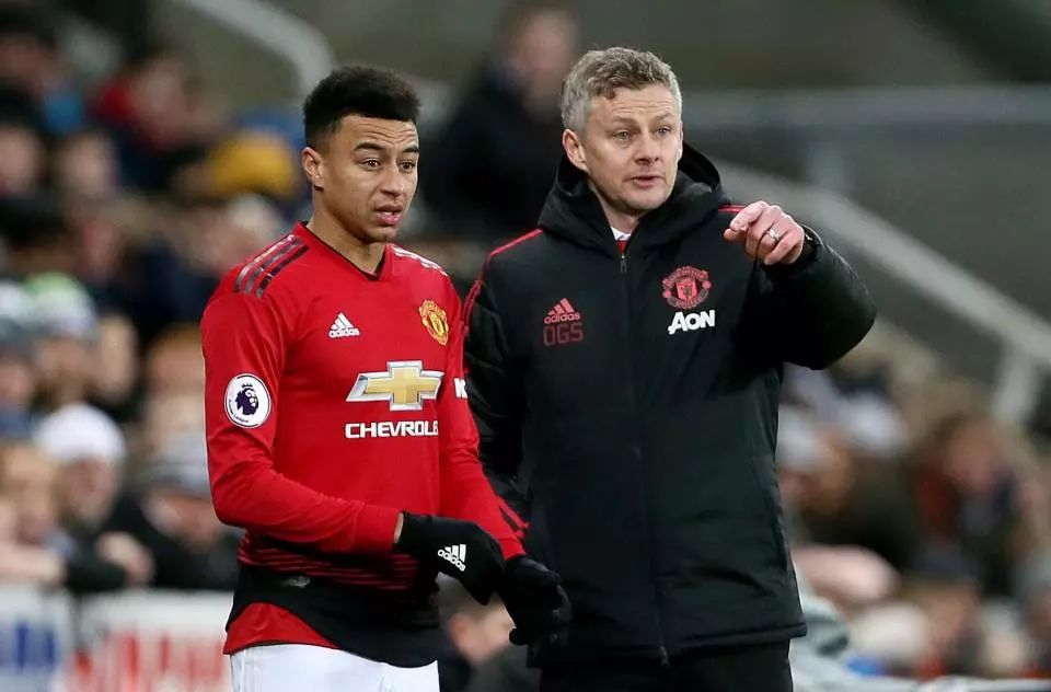 高水平的比 高水平的比